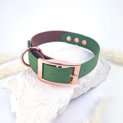 Zgardă Flydog Colorful Duo Brown and Green