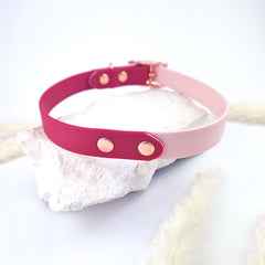 Flydog Collar Colorful Duo Cherry Red and Lilac