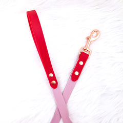 Colorful DUO Cherry Red &amp; Mauve Leash