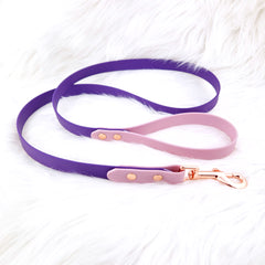 Colorful DUO leash Lilac &amp; Purple