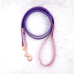 Colorful DUO leash Lilac &amp; Purple