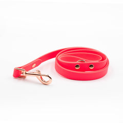 Colorful Pink Leash