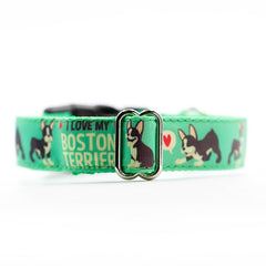 Designer Green Boston Terrier
